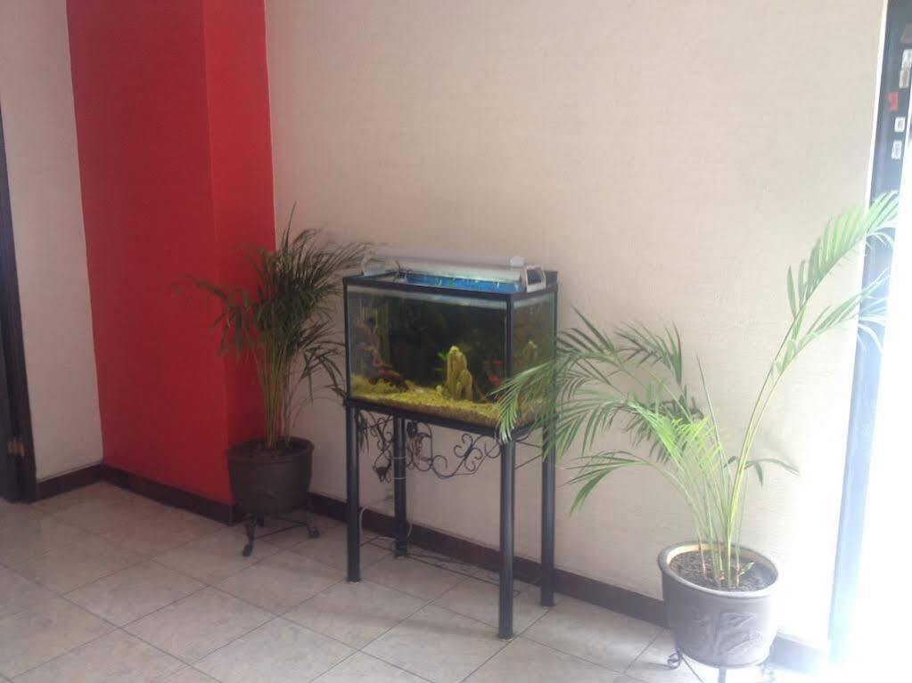 Hotel La Paz Guadalajara Zewnętrze zdjęcie